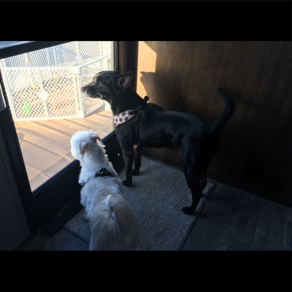 ✨Meet Your Posher, Victoria✨ - Picture 6 of 6